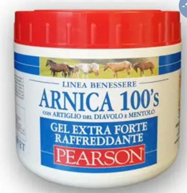 Arnica 100's gel extra forte raffreddante